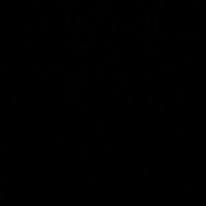 Meet your Posher, Daesha